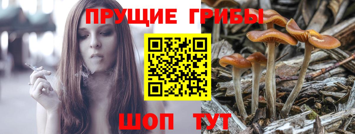 Псилоцибиновые грибы мухоморы  Вход с VPN  Долгопрудный  Псилоцибиновые грибы мухоморы 